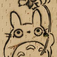晴天小猪
